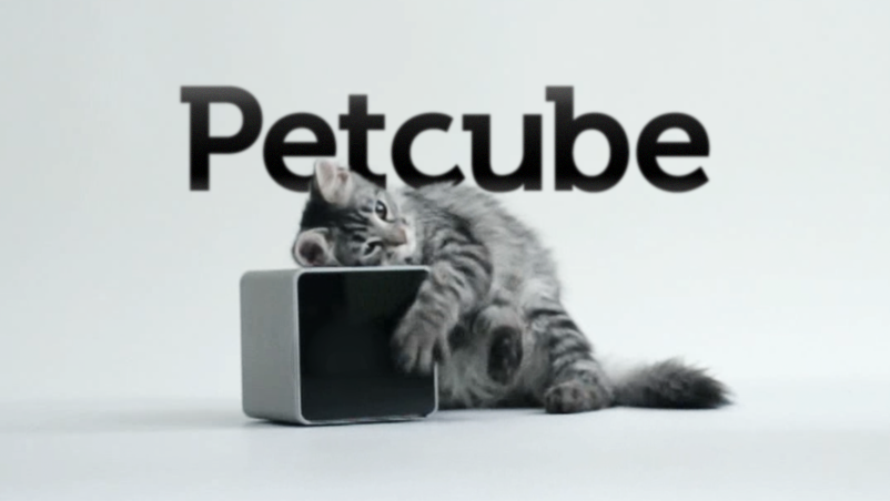 Український стартап PetCube потрапив до найочікуваніших продуктів на виставці MacWorld